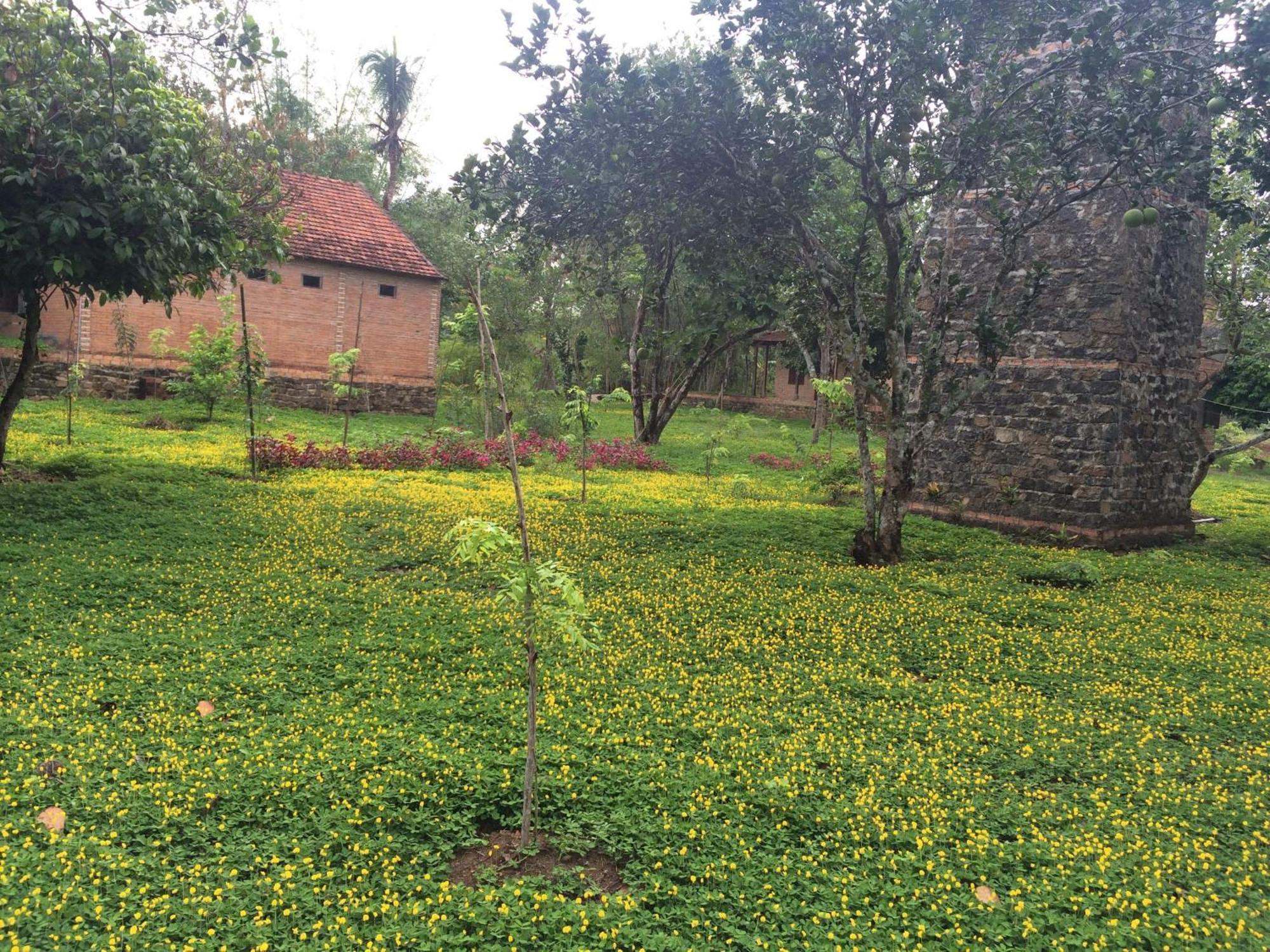 Green Hope Lodge Cat Tien Bilik gambar